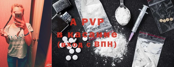 прущие грибы Верея