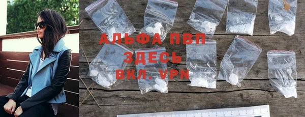 прущие грибы Верея