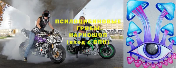дживик Бронницы