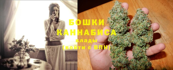 дживик Бронницы