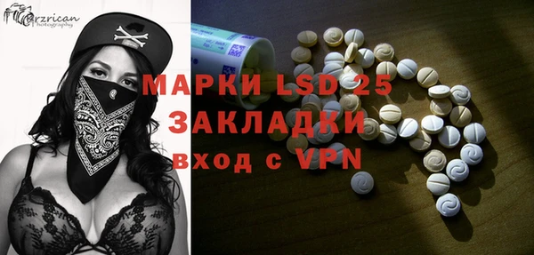 прущие грибы Верея