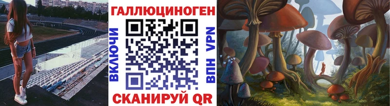 где купить   Шенкурск  Галлюциногенные грибы Cubensis 